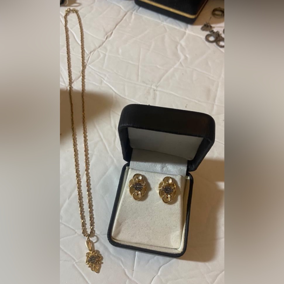 Harley Davidson 2 Piece 10kt Necklace And Earring Set